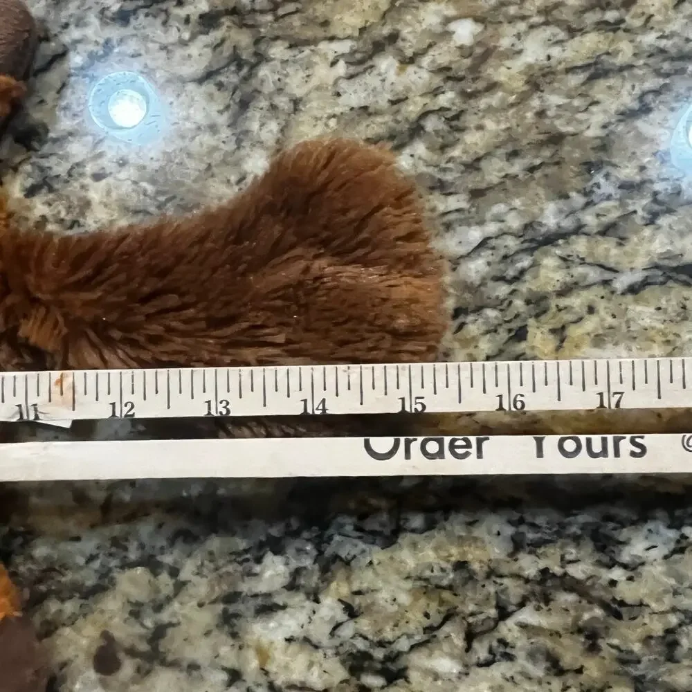 Fox Raccoon Squeaky Toy Flat Plush‎ Woodland Animal No Stuffing